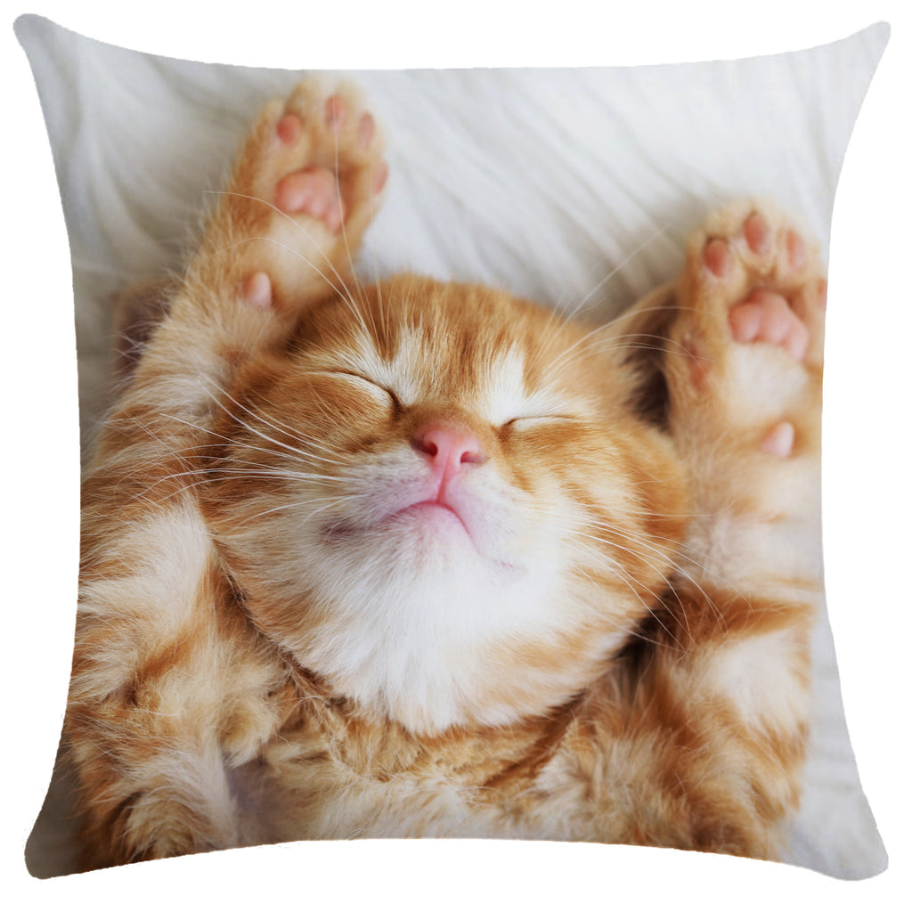 Housse de Coussin Chat en Peluche Douce - CATY