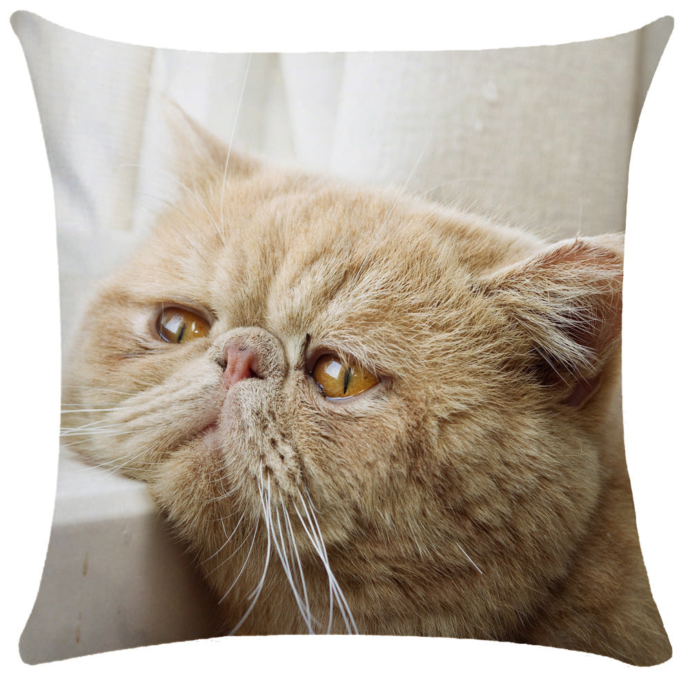 Housse de Coussin Chat en Peluche Douce - CATY