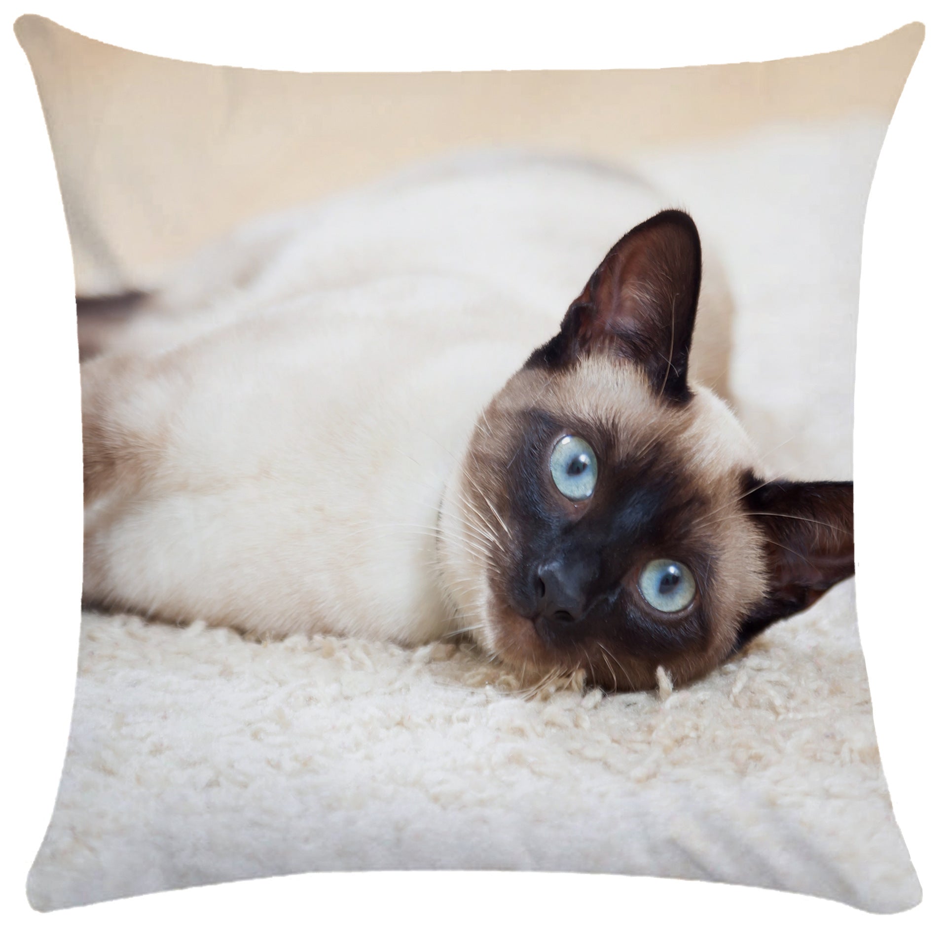Housse de Coussin Chat en Peluche Douce - CATY
