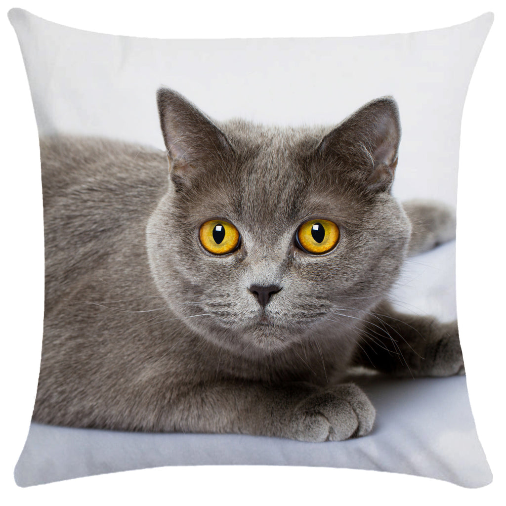 Housse de Coussin Chat en Peluche Douce - CATY