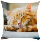 Housse de Coussin Chat en Peluche Douce - CATY