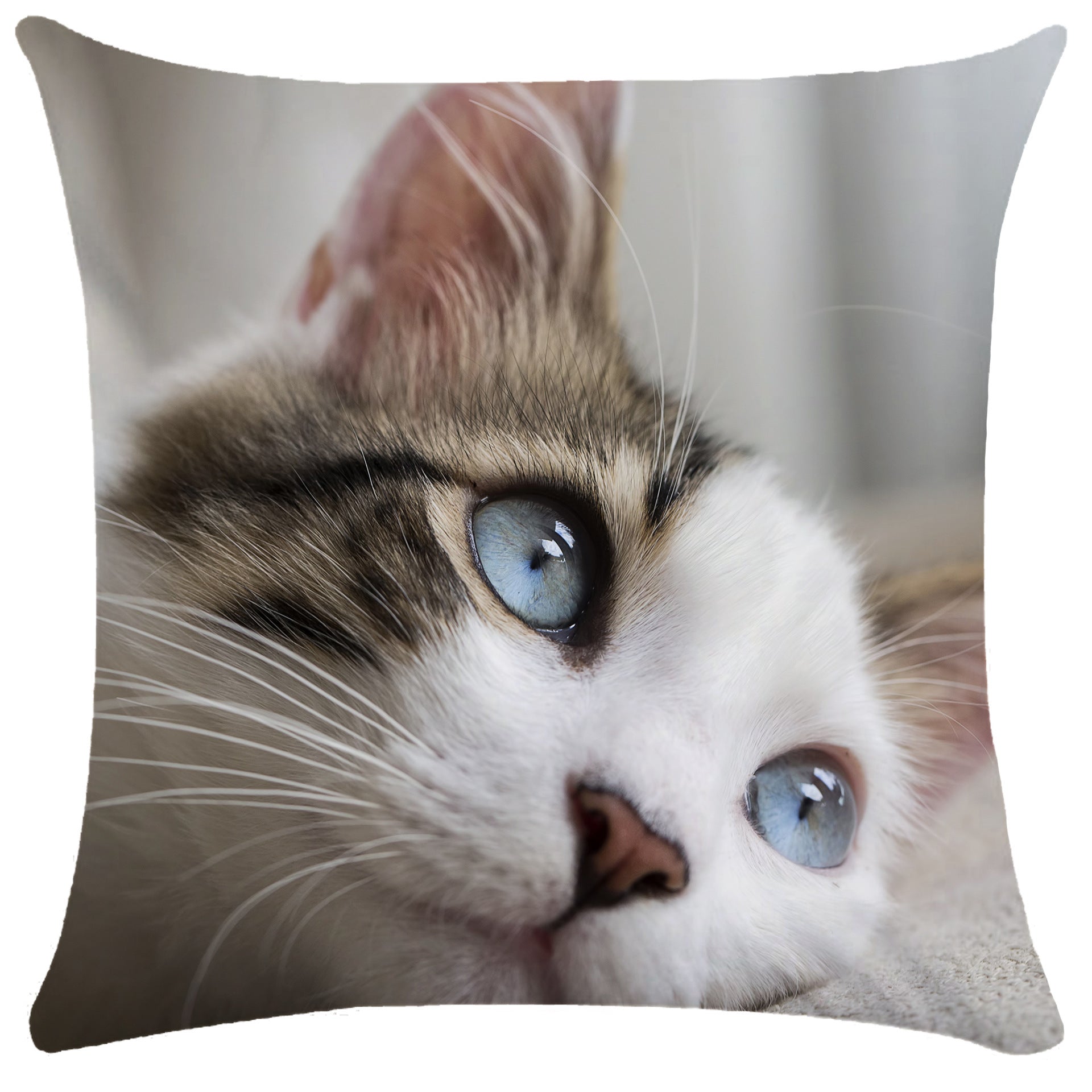 Housse de Coussin Chat en Peluche Douce - CATY