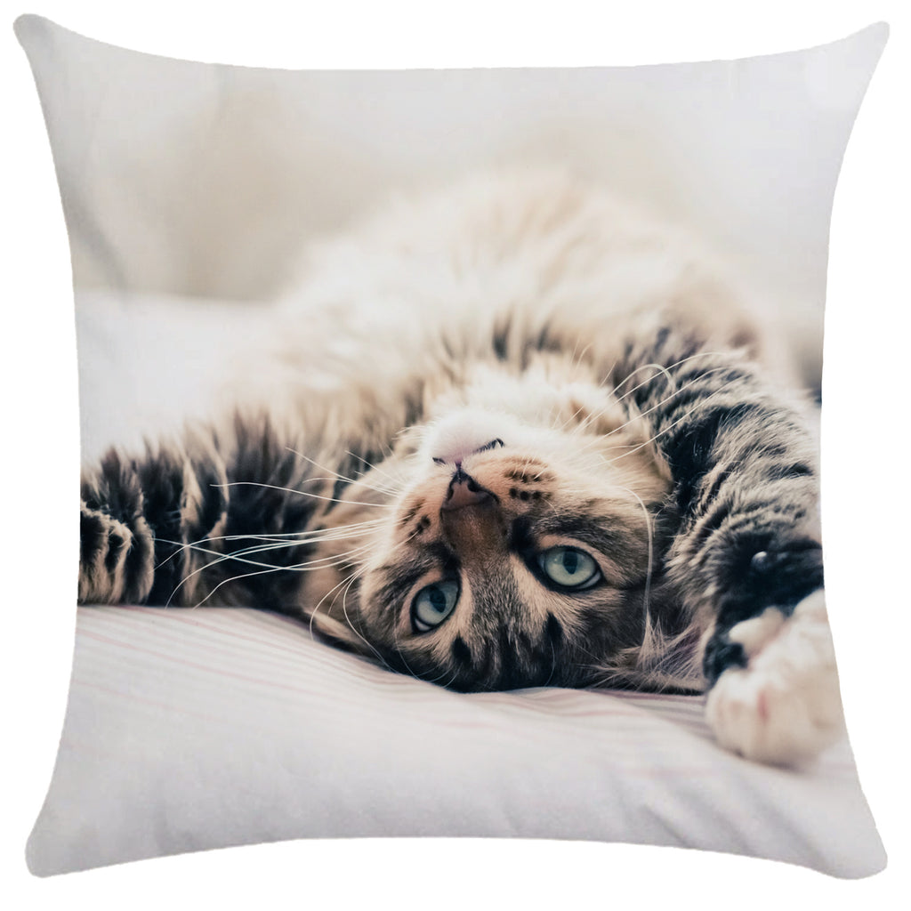 Housse de Coussin Chat en Peluche Douce - CATY