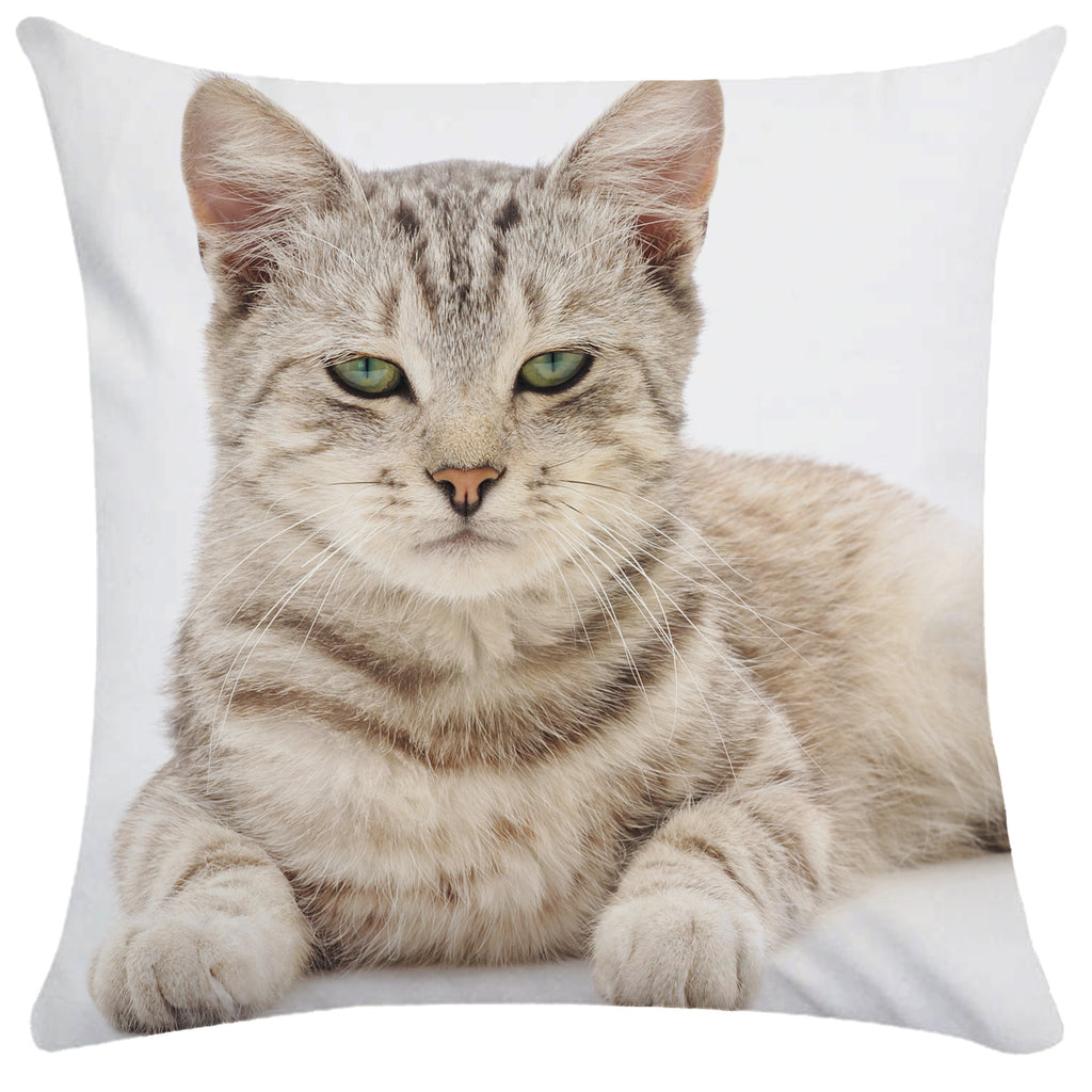 Housse de Coussin Chat en Peluche Douce - CATY