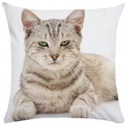 Housse de Coussin Chat en Peluche Douce - CATY