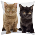 Housse de Coussin Chat en Peluche Douce - CATY