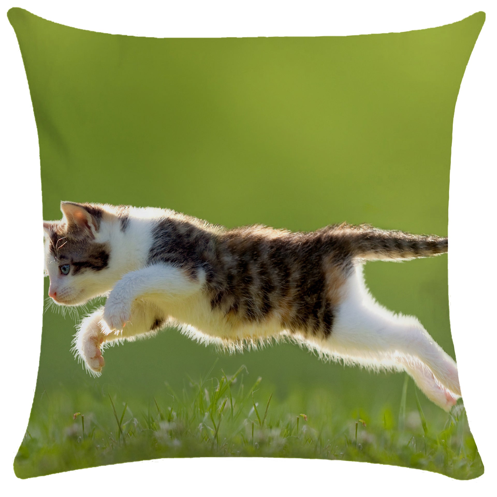 Housse de Coussin Chat en Peluche Douce - CATY