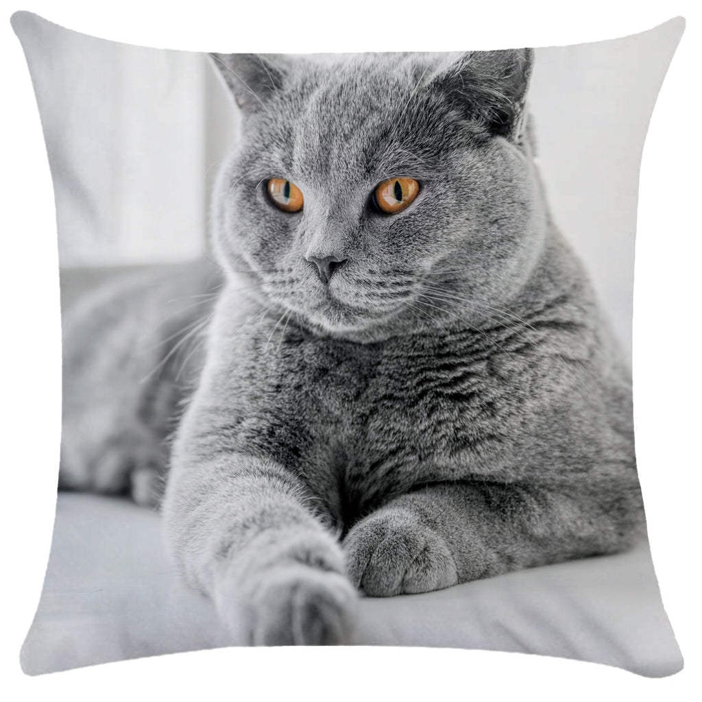 Housse de Coussin Chat en Peluche Douce - CATY