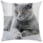 Housse de Coussin Chat en Peluche Douce - CATY