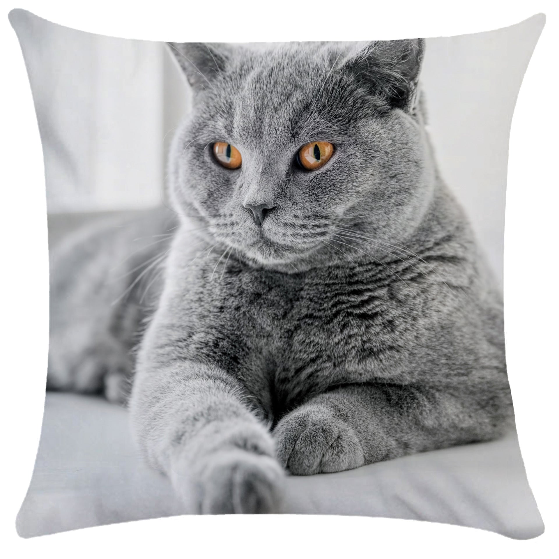 Housse de Coussin Chat en Peluche Douce - CATY